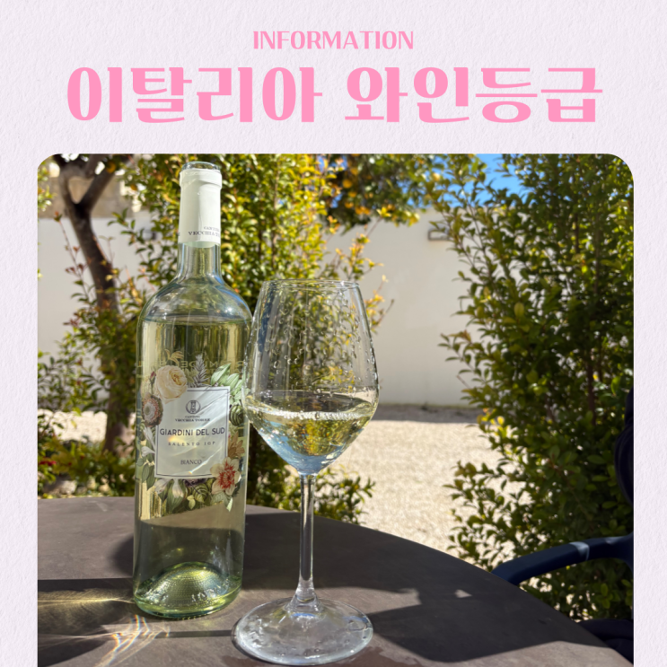  이탈리아 와인 등급 체계 알아보기 DOC DOCG IGT VINO