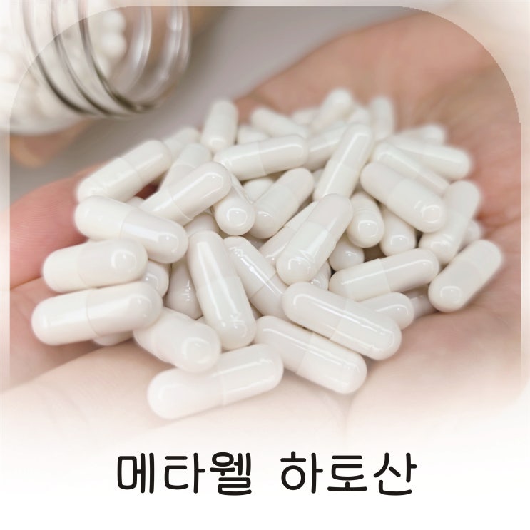  메타웰 하토산으로 시작한 혈압관리영양제 루틴