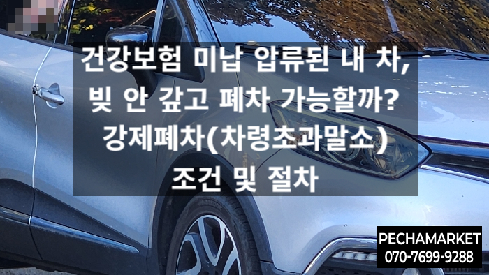  건강보험 미납 압류된 내 차, 빚 안 갚고 폐차 가능할까? 강제폐차(차령초과말소) 조건 및 절차