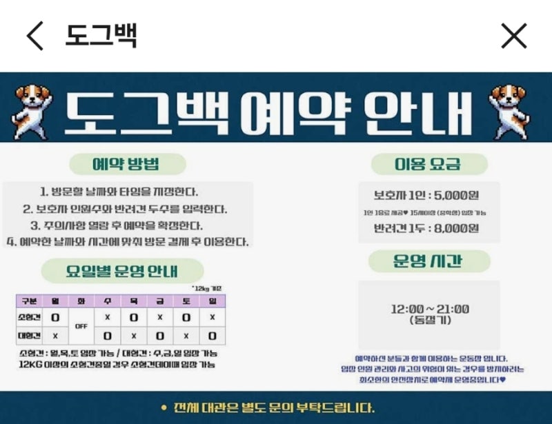 사진 6