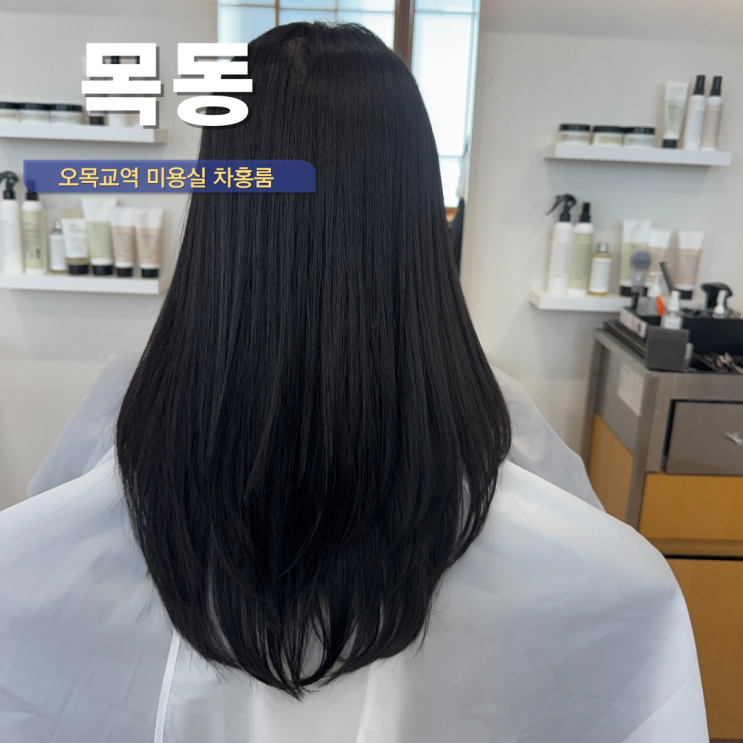  목동 미용실 염색 긴머리 톤다운 오목교역 차홍룸 이채은 디자이너님