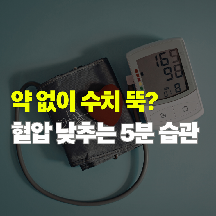  약 없이 혈압 낮추는법, 하루 5분 투자로 수치 뚝 떨어뜨리는 꿀팁