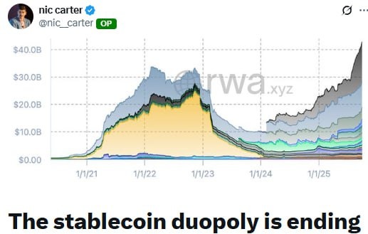  스테이블코인 2강(USDT·USDC) 시대의 종말? '달러 토큰' 다원화 시대가 온다
