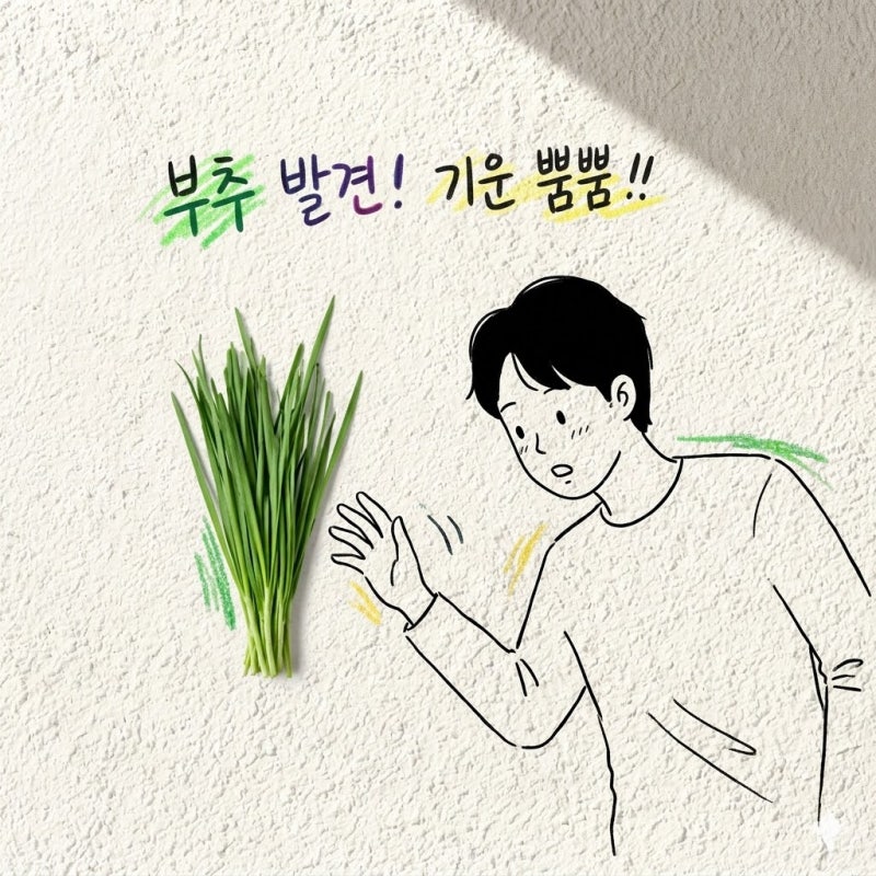 부추즙 부추의 효능 부작용 남자 정구지