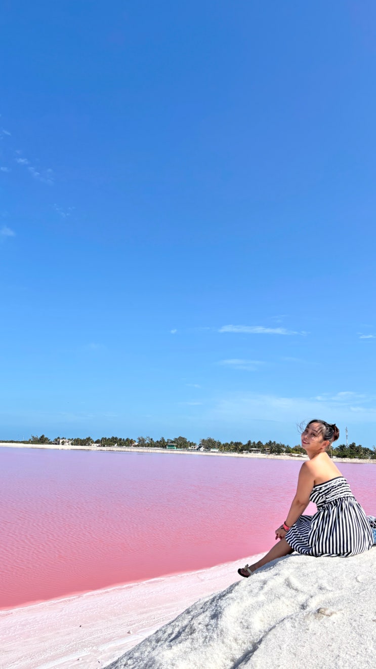  [Cancun] 칸쿤 핑세치 투어 3, 4월에 꼭 가야하는 이유 _ 핑크라군 익킬세뇨떼 치첸이샤 하하투어 준비물 후기