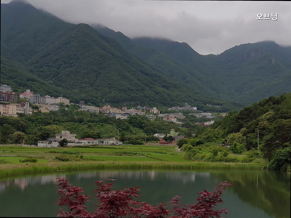 오브닝 사진 4