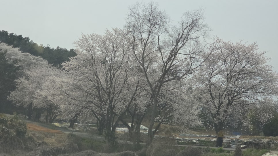 동지산 사진 5