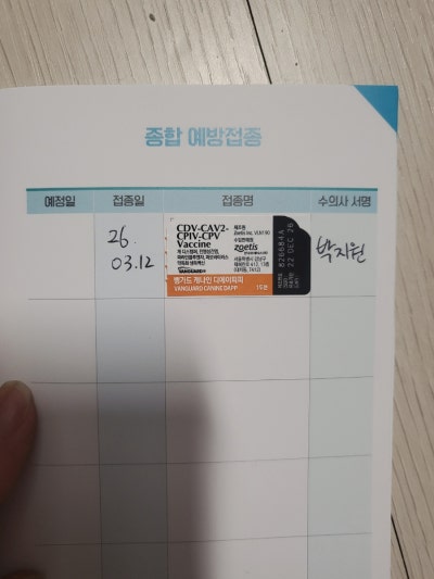 사진 6