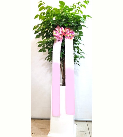 삼막골 사진 1