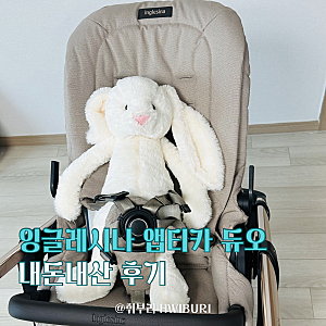 유모차 받았다! 잉글레시나 앱티카 캐리콧 듀오 내돈내산 후기