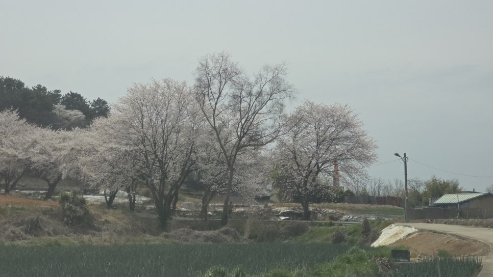 동지산 사진 3