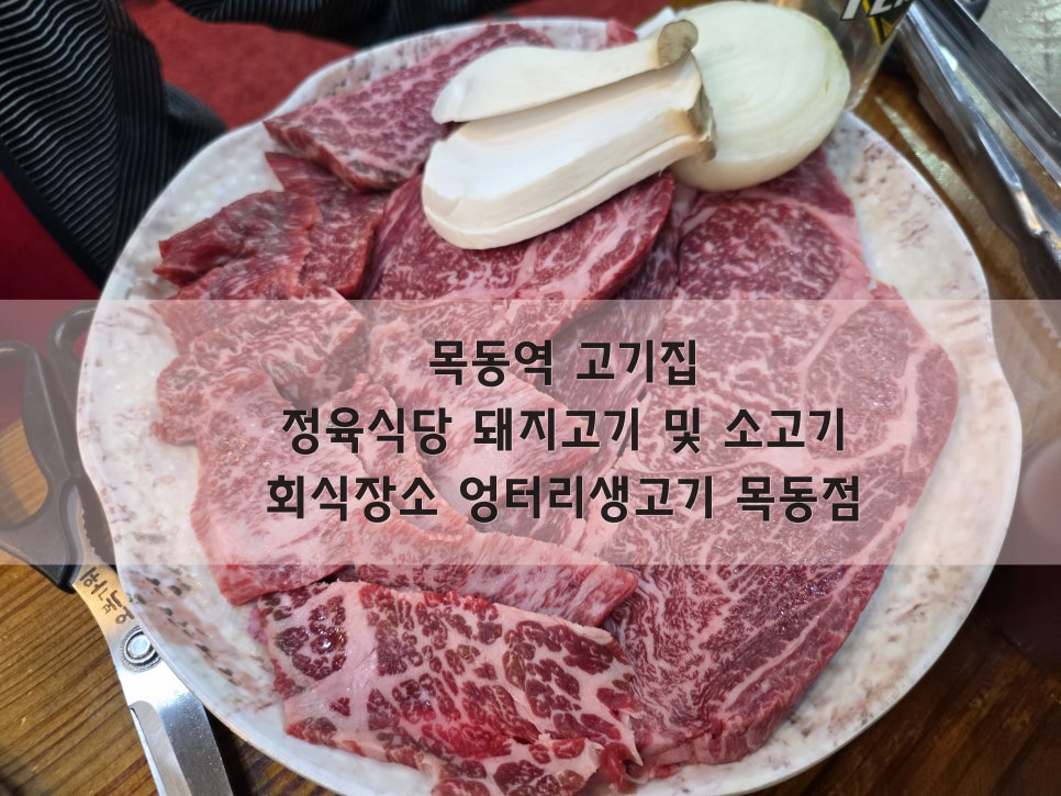 엉터리생고기 목동점 사진 1
