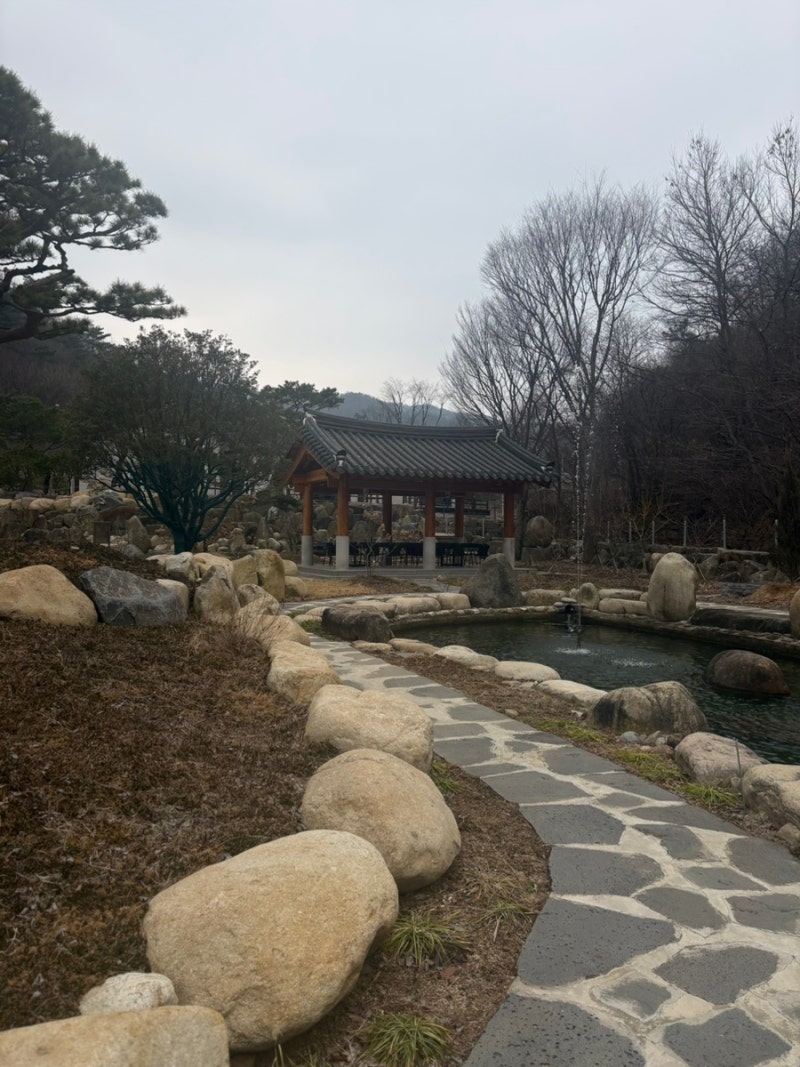 사진 6