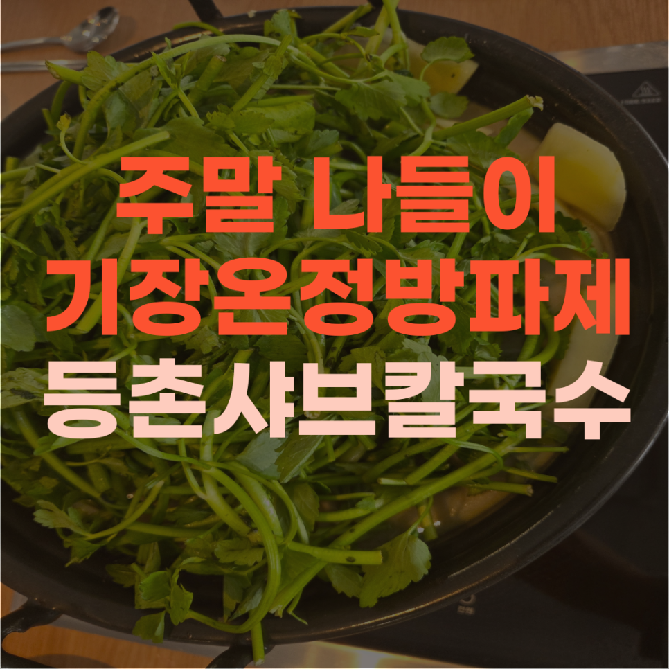 등촌샤브칼국수 기장일광점 사진 1
