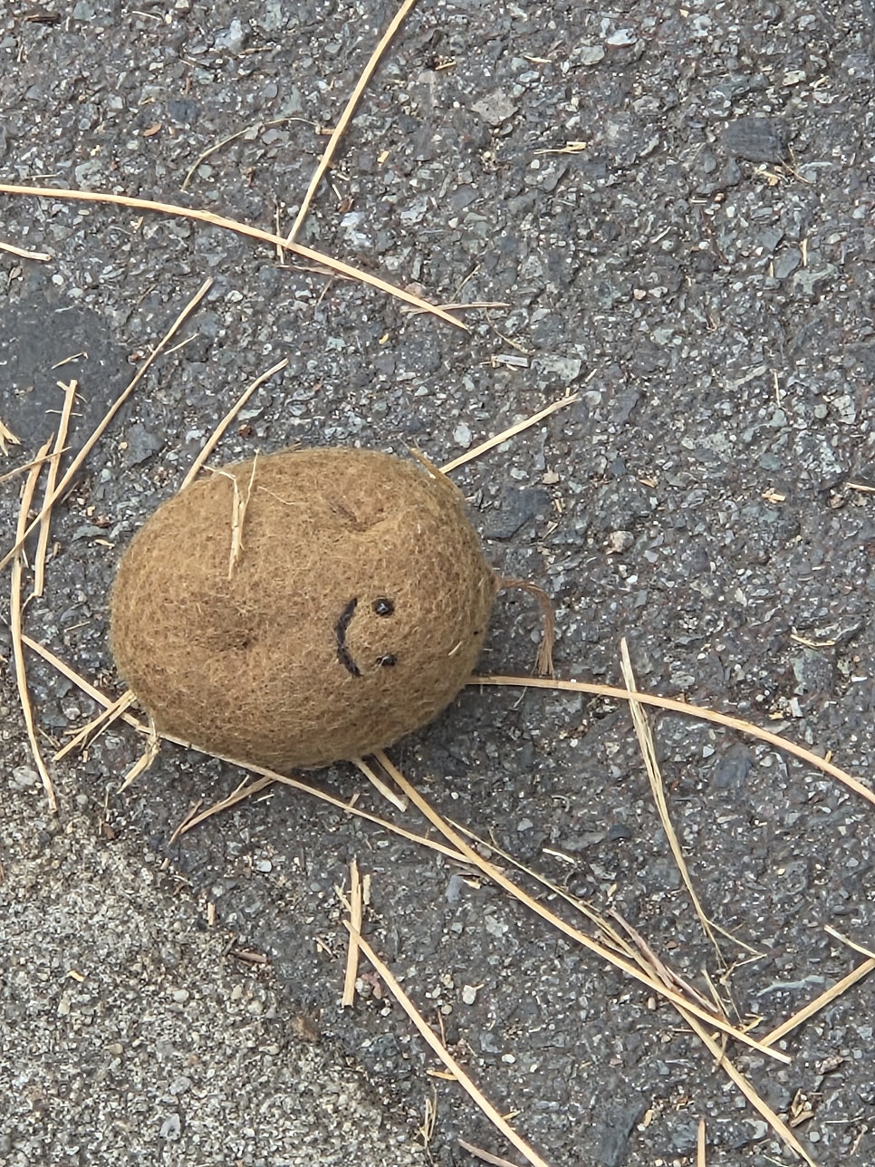 또바기 사진 1