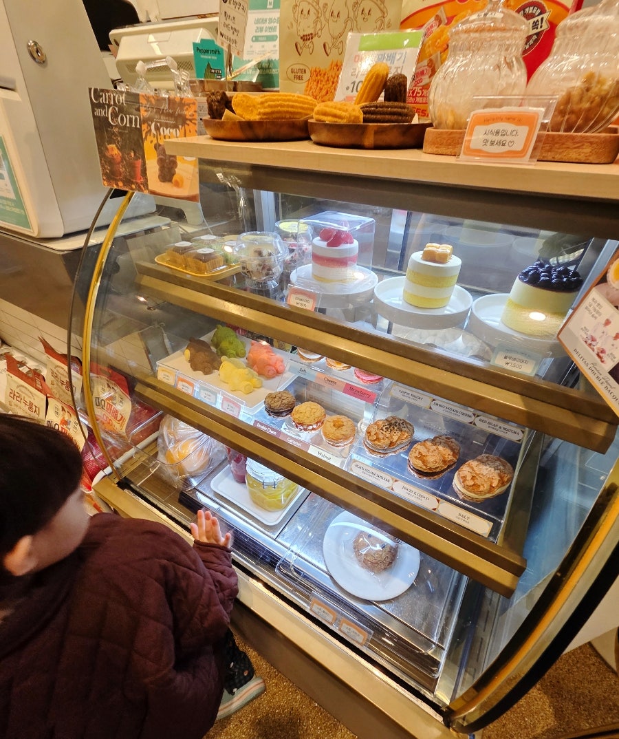 카페곰이 사진 2