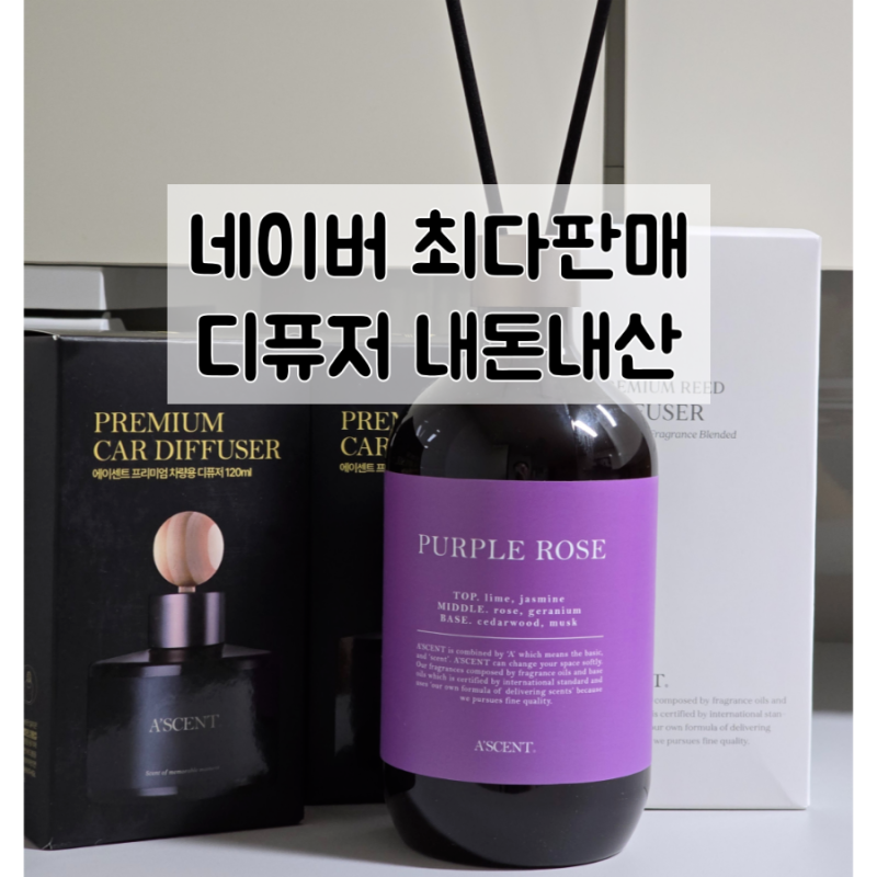 향기 유목민 종결템 에이센트 실내용 차량용 디퓨저