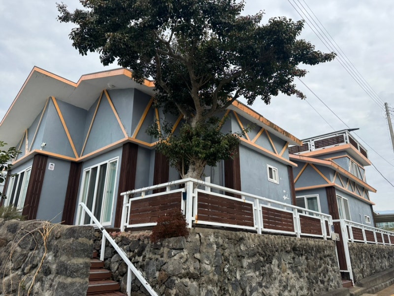 10개월 아기랑 제주도 여행 서귀포 가성비 에어비엔비 감성 숙소 사라보래 후기