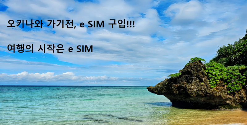 일본 오키나와 여행 준비! 유심사 eSIM 구매 & 연결방법 총정리