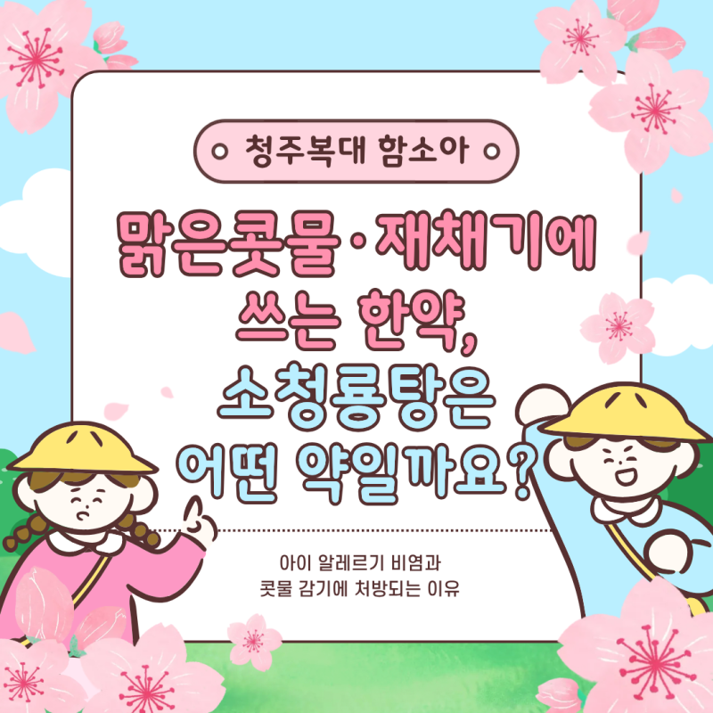 맑은 콧물·재채기에 쓰는 한약, 소청룡탕은 어떤 약일까요? 청주복대함소아
