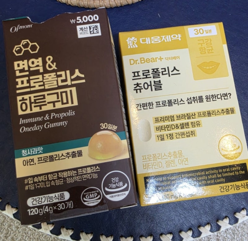 다이소 프로폴리스 영양제 2종 성분 비교 리뷰