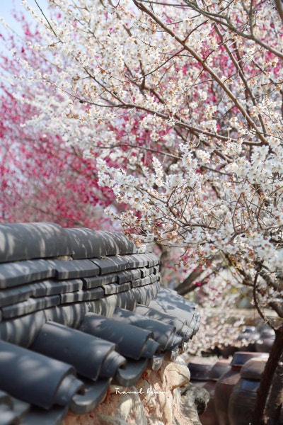 사진 5
