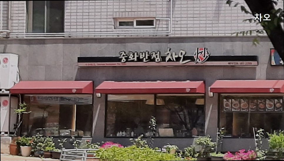 차오 사진 5