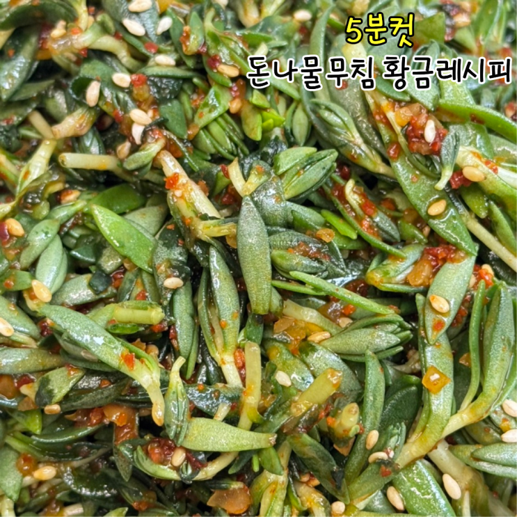 돈나물무침 황금레시피 봄나물반찬 요리 먹는법