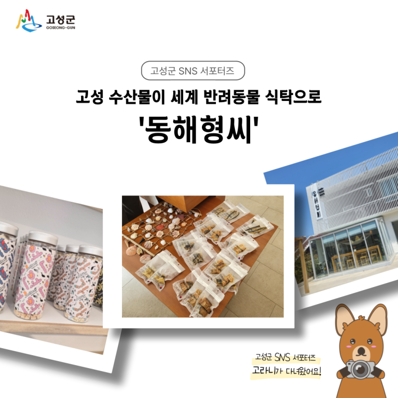사진 11
