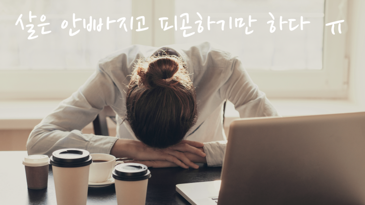  운동해도 살 안 빠지는 이유 더 피곤한 진짜 원인｜운동 식이 체형 무엇이 문제일까 (다이어트 실패 이유 체크리스트)