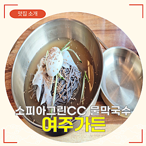 [여주 막국수 맛집 | 소피아그린CC 근처] 여주가든 물막국수 + 왕만두 라운딩 후 가볍게 먹기 ....