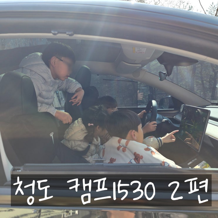  모델Y와 함께한 4인 가족의 청도 캠프1530 두 가족 사이트 G1 생생 후기!(2편)
