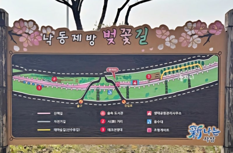 [부산 북구시니어 클럽 기자단] 분홍빛 설렘이 가득! 미리 가본 낙동 제방 벚꽃길 현장 답사....