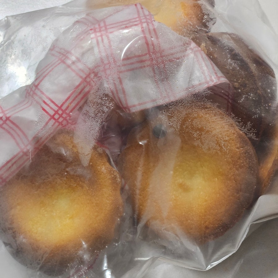 초록동 사진 5