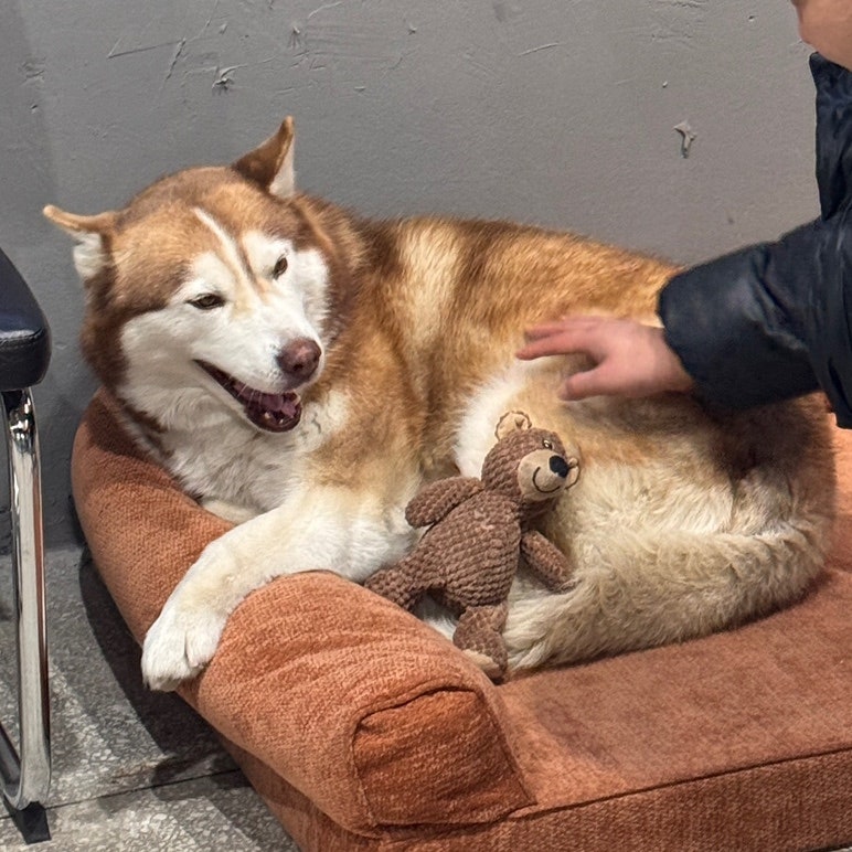 앙투 사진 6