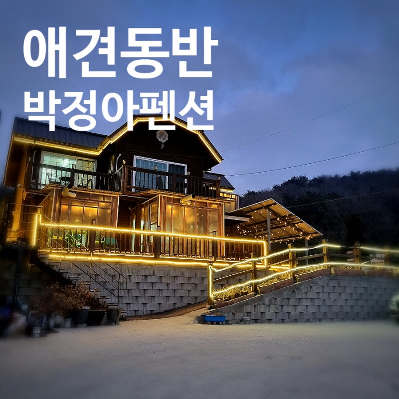 인천 석모도 강화 애견동반 박정아펜션 203호