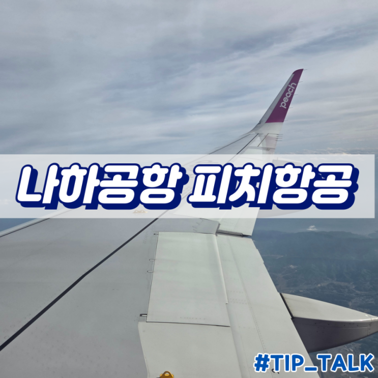  오키나와 나하공항 국내선 피치항공 이용방법