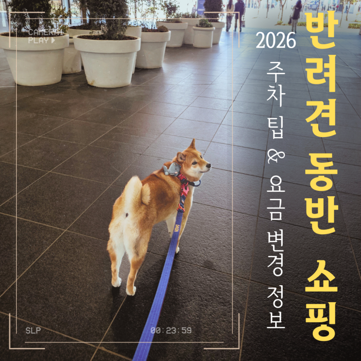  반려견 동반 가능한 송도 현대 프리미엄 아울렛, 2026 주차 요금 & 지하 1층 쇼핑 정보 가이드