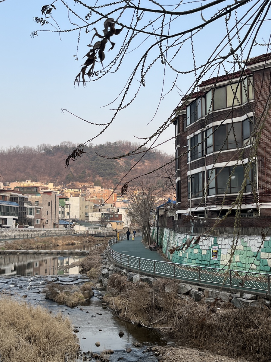 븟 사진 1