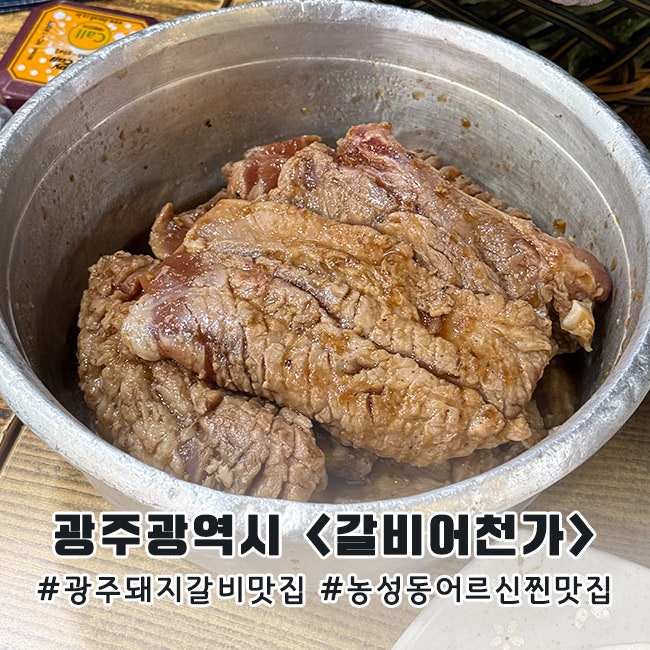 갈비어천가 사진 1