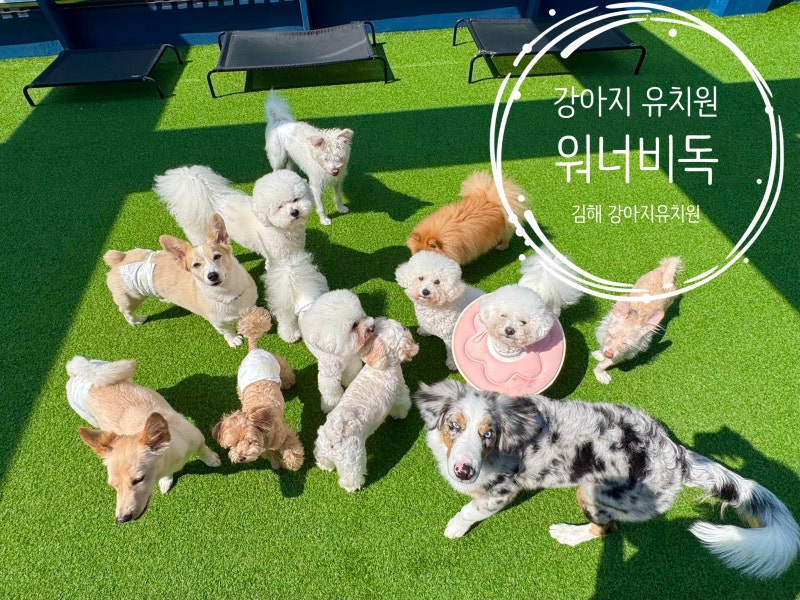 사진 2