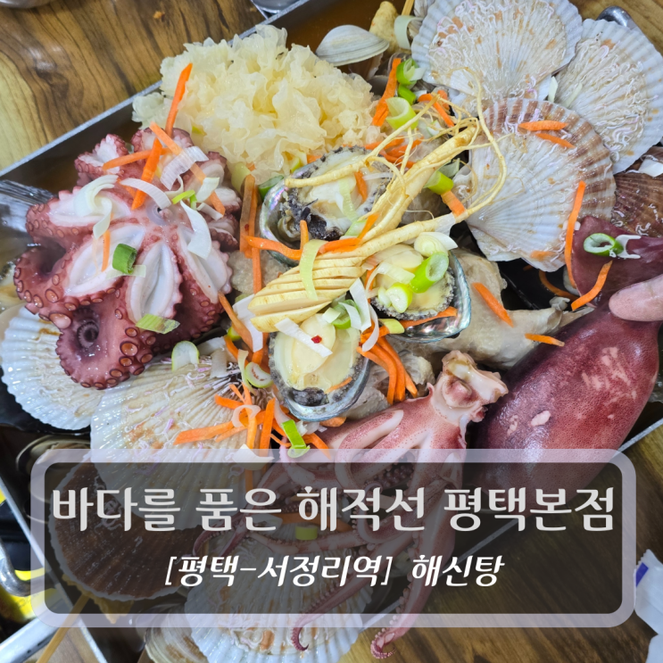  서정리역 맛집 :: 바다를 품은 해적선 평택본점 - 문어해신탕 후기