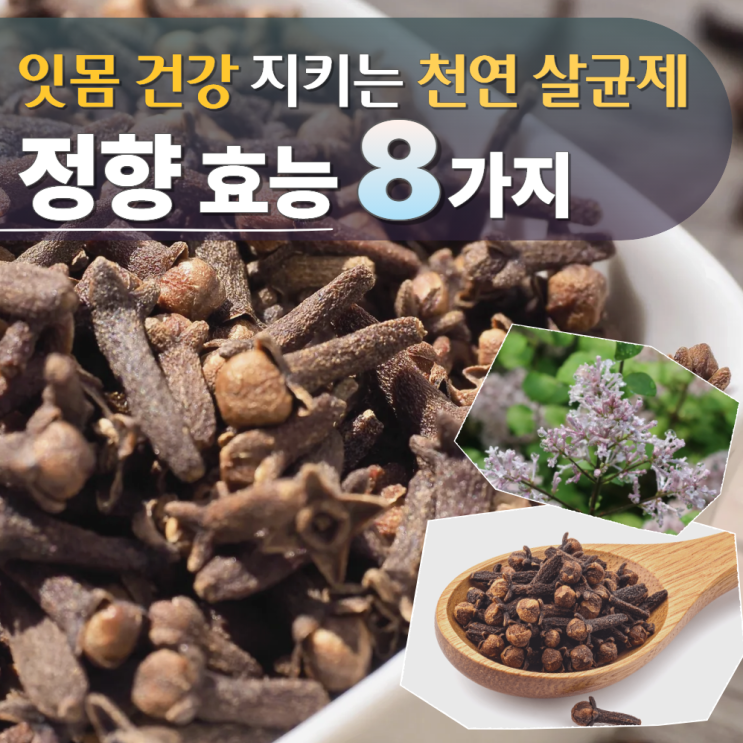  정향 효능 먹는법 부작용 뜻 (클로브)
