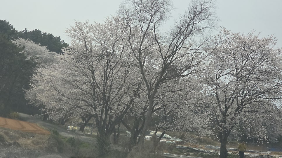 동지산 사진 6