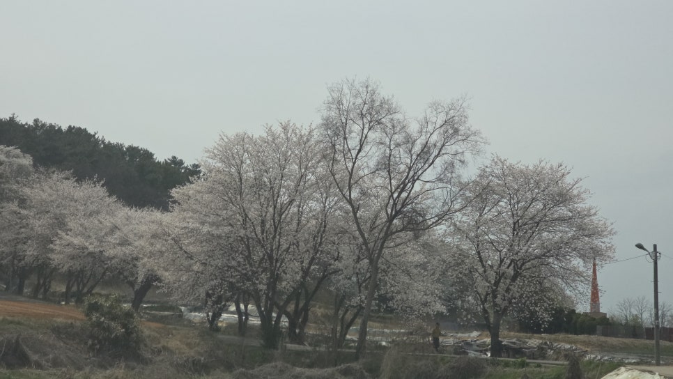 동지산 사진 4