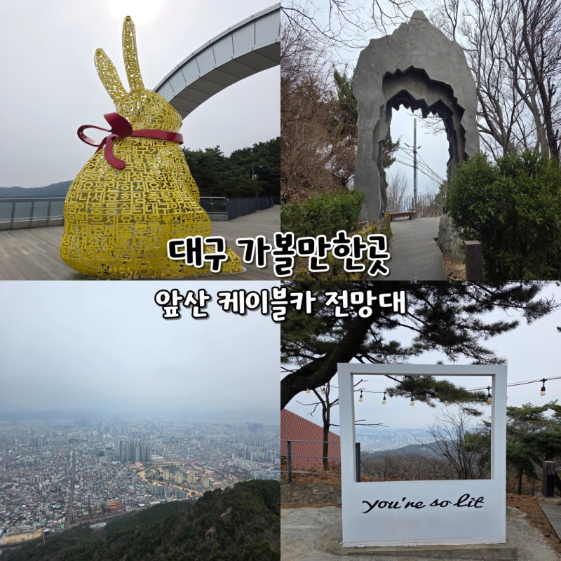 사진 2