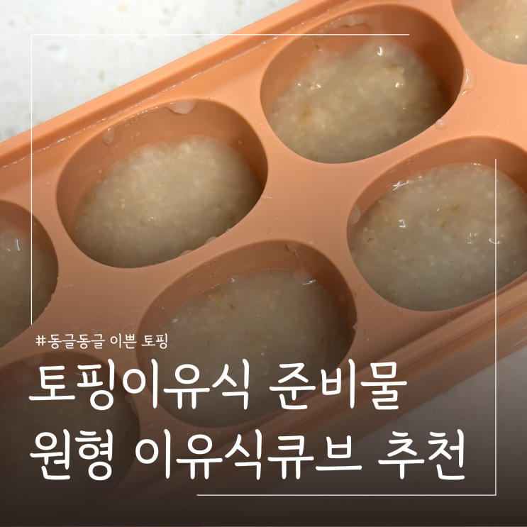  초기 토핑이유식 준비물 추천 모윰 원형 이유식큐브 12구 활용 방법