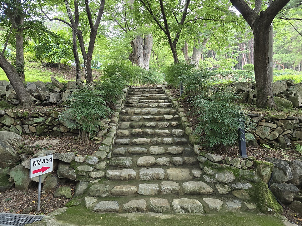 서원산 사진 2