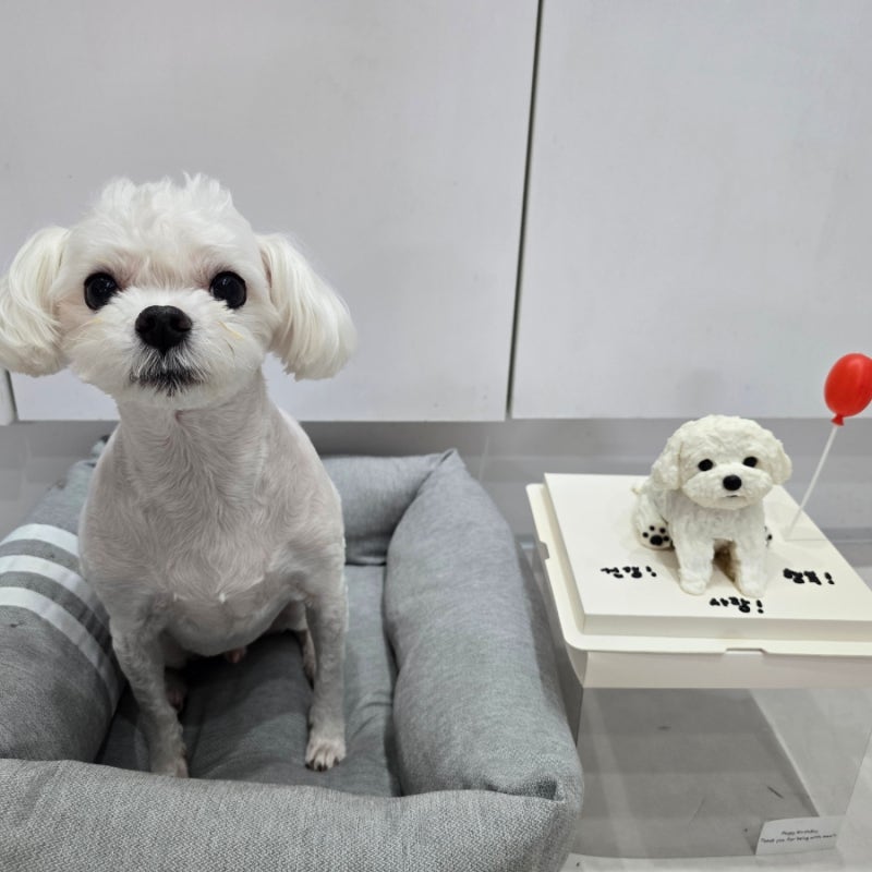 무잇