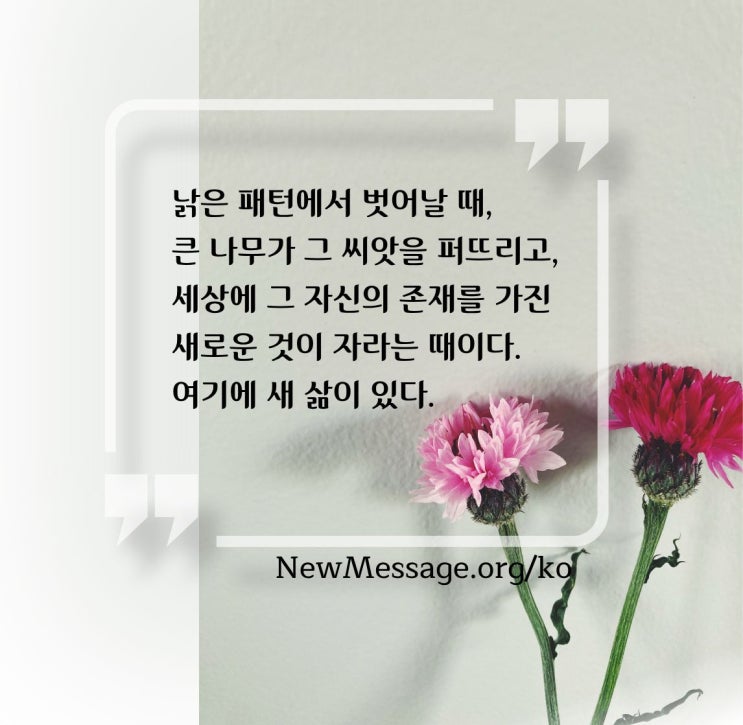  낡은 패턴에서 벗어날 때